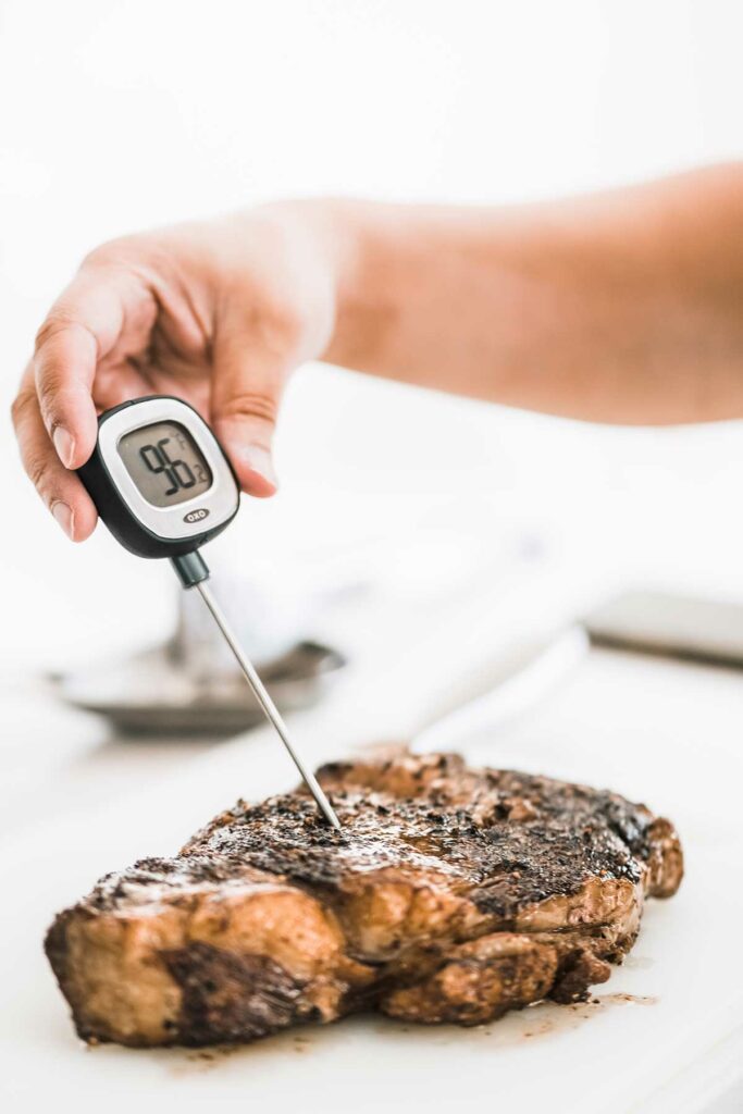 Using Meat Thermometer For Cooking